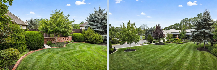 Two-part image: Well-manicured green lawns with trees, bushes, and buildings on a sunny day. A side-by-side comparison of a neatly manicured residential lawn with striped patterns and various evergreen trees.