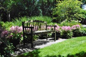 A wooden bench sits on a stone path surrounded by pink flowers and lush greenery in a sunny garden.