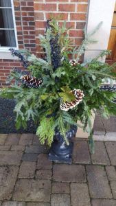 A holiday floral arrangement with evergreen boughs, pinecones, and dark berries in a dark urn on a brick patio.