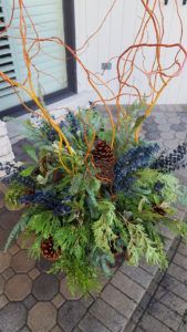 A decorative winter planter features tall, twisting orange branches, lush green foliage, blue berries, and pinecones.