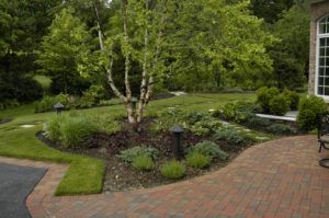 A curved brick patio bordered by a landscaped garden with a multi-trunked tree, shrubs, and mulch near a brick house.