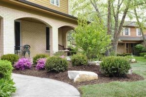 A suburban house front with arched covered porches, landscaped garden beds featuring purple azaleas, shrubs, and mulch.