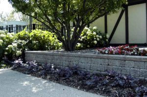 A stone retaining wall in a garden bed with a small tree, white hydrangea bushes, purple foliage, and red flowers.