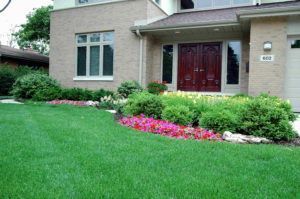 A tan brick house with a dark red double door, green lawn, and a flower bed with pink flowers and lush green shrubs.