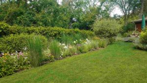 A lush garden border with tall grasses and colorful flowers planted along a grassy lawn, with trees in the background.