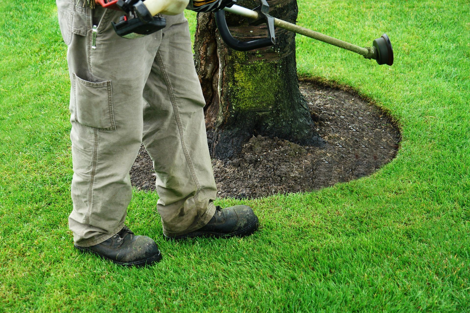 Landscaper using a string trimmer to edge and clear grass around the base of a tree