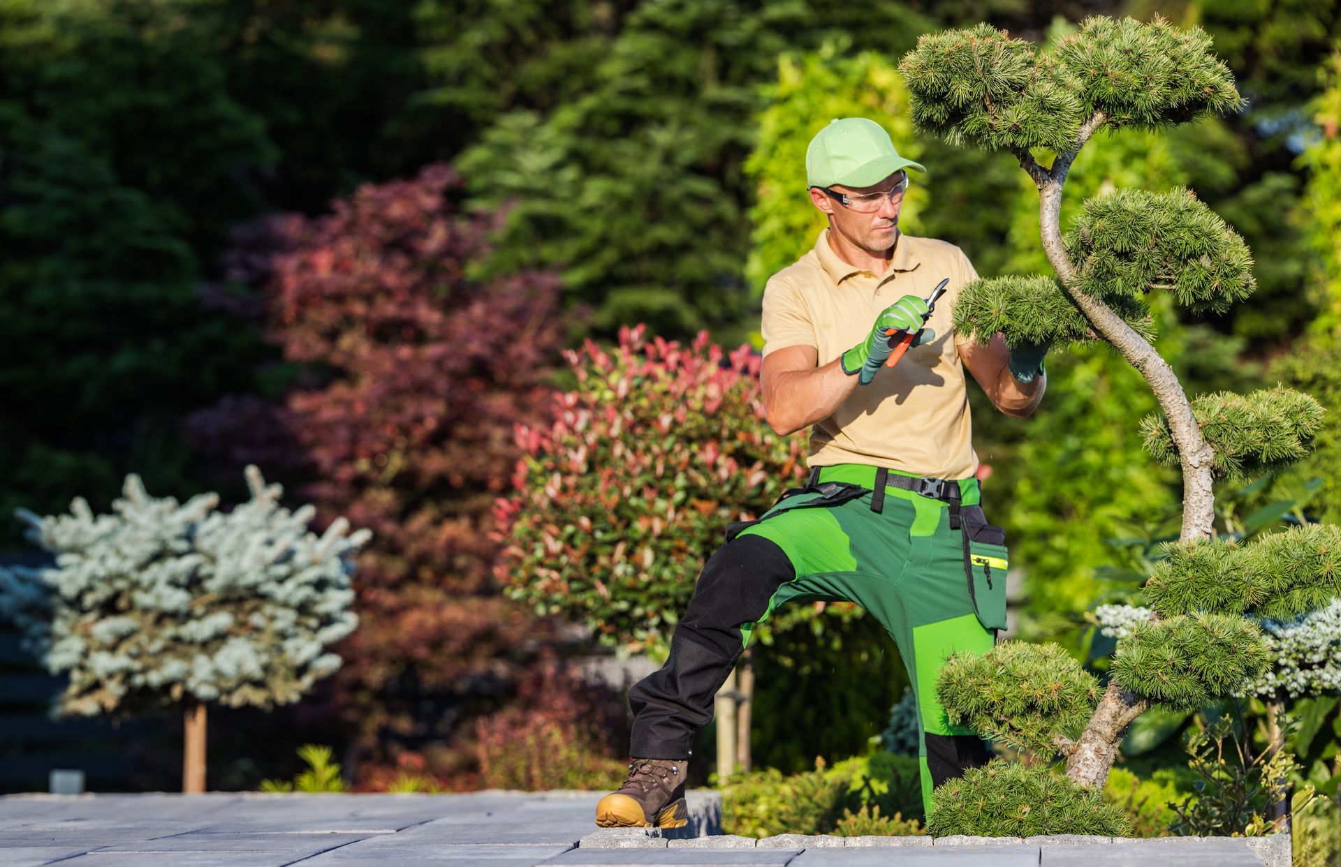 Landscaping professional pruning a tree in a residential site.