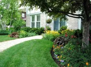 A winding stone path leads to a house behind a vibrant front garden with lush green grass, flowering shrubs, and a tree.