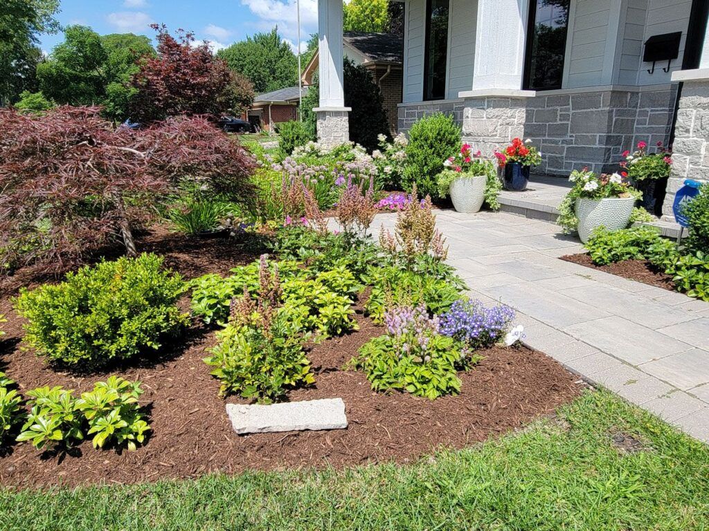 A garden bed with green shrubs, purple flowers, and a stone path leading to a house entrance with potted plants.