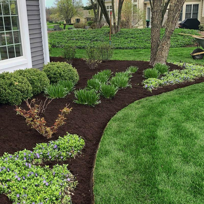 Fresh mulch installation and landscape bed design in Buffalo Grove IL with trimmed shrubs, edging, and healthy green lawn by Shelly’s Landscape Fresh mulch installation and landscape bed design in Buffalo Grove IL with trimmed shrubs, edging, and healthy green lawn by Shelly’s Landscape