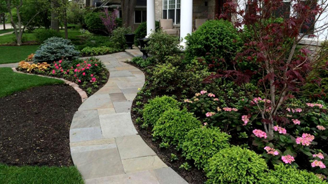 Curved stone walkway and front yard landscaping in Buffalo Grove IL with colorful flower beds, shrubs, and professional garden design by Shelly’s Landscape Curved stone walkway and front yard landscaping in Buffalo Grove IL with colorful flower beds, shrubs, and professional garden design by Shelly’s Landscape