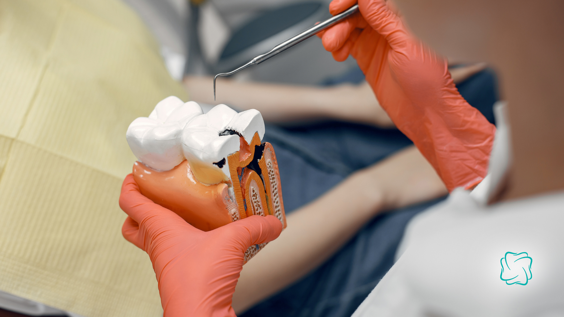 Dentist's hands in pink gloves examine a model of teeth with a cavity.