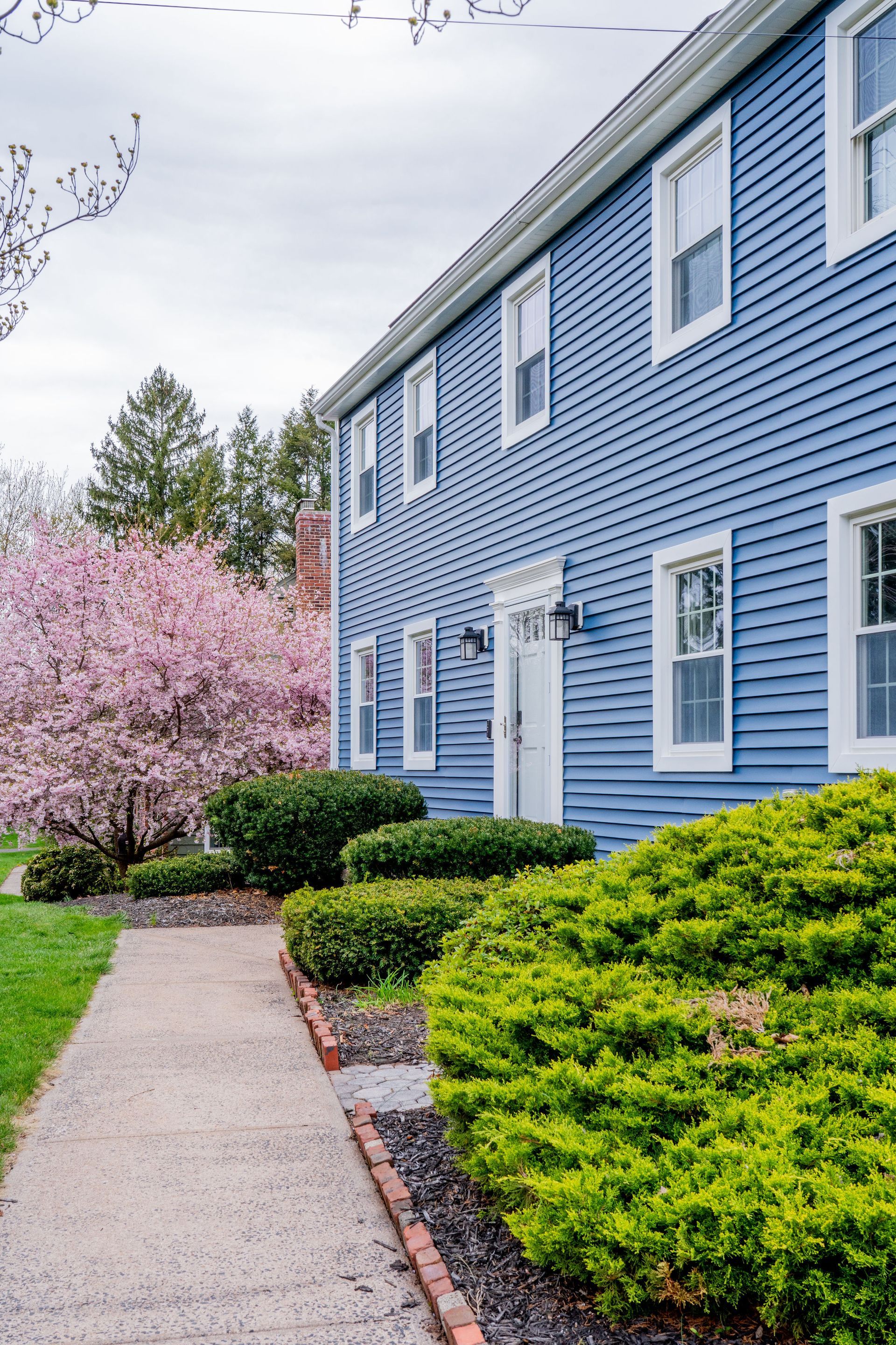 Siding Replacement