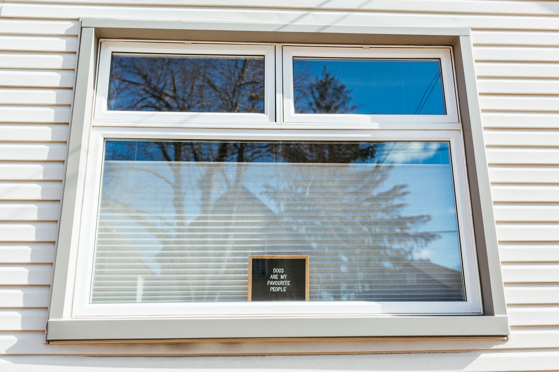 White-framed window on a white siding wall. The window is divided into three sections reflecting trees and sky.
