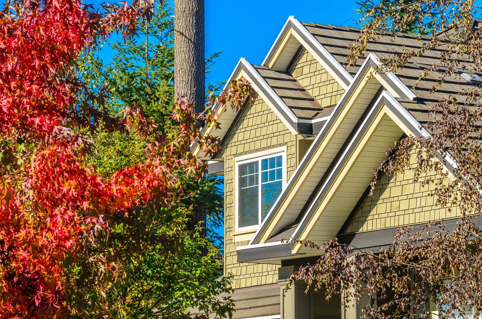 Suburban house with beige siding and dormer windows beside a red and orange autumn tree