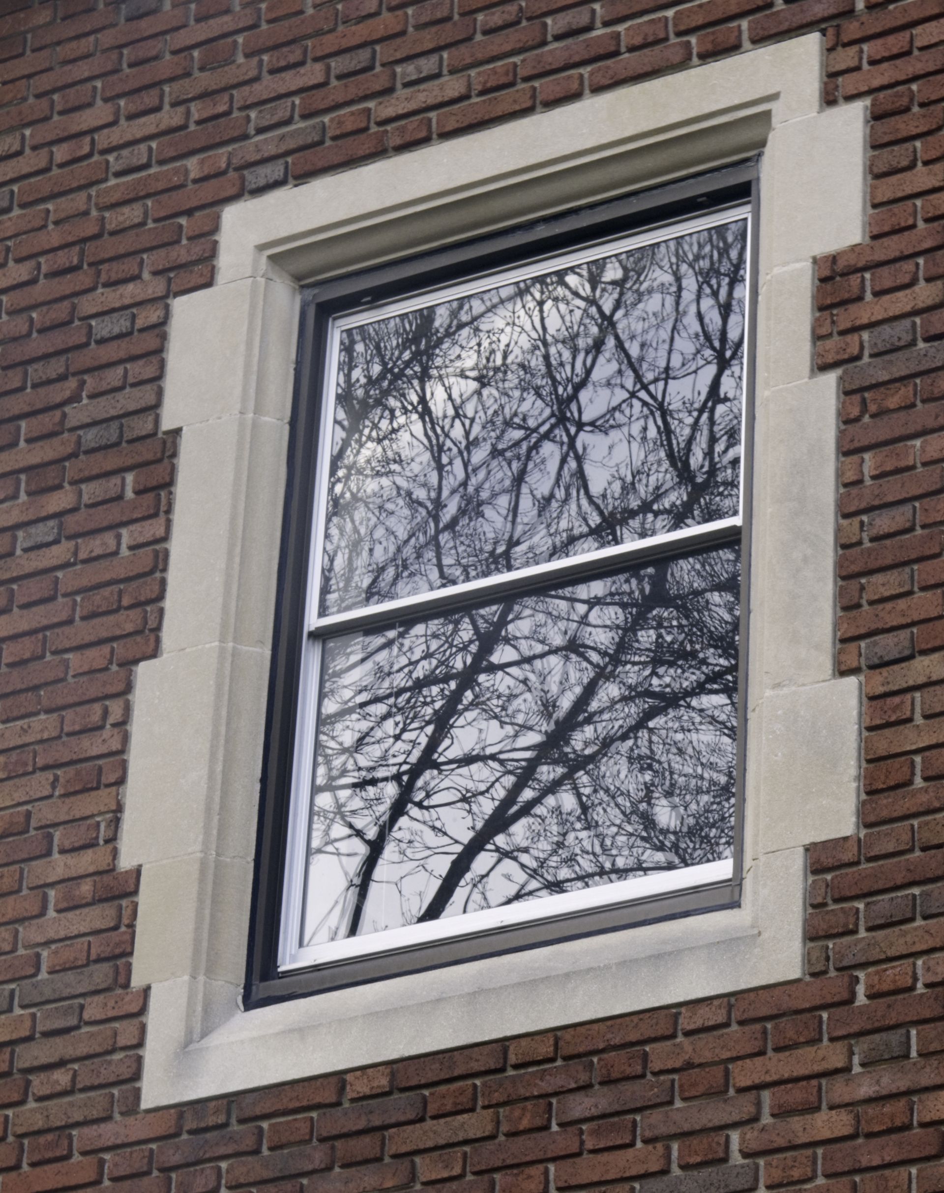 White-trimmed window set in a red brick wall, reflecting tree branches.