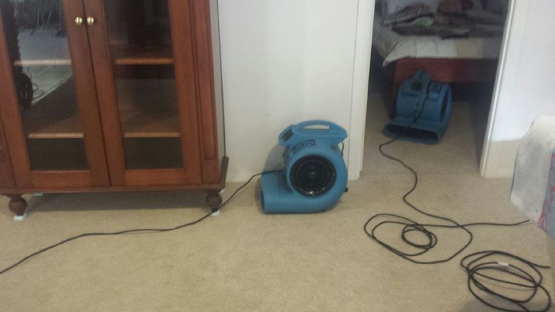 Cleaning a Carpet — Dial a Carpet Cleaner in Mackay, QLD