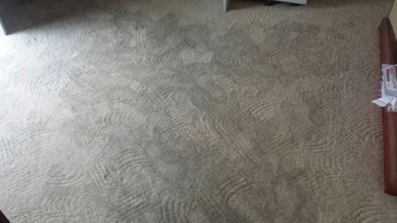 Carpet Cleaning After — Dial a Carpet Cleaner in Mackay, QLD