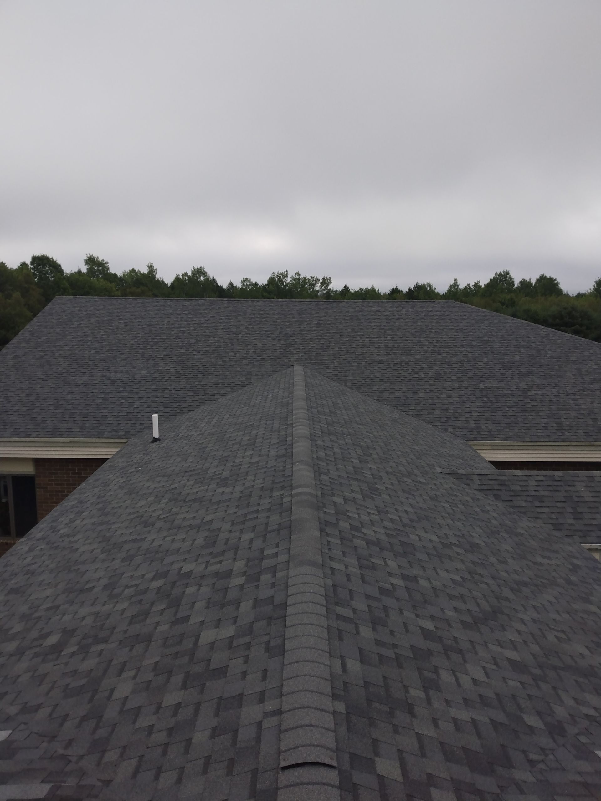 A view from a roof peak looking across dark grey asphalt shingle roof sections toward a line of trees under a cloudy sky.