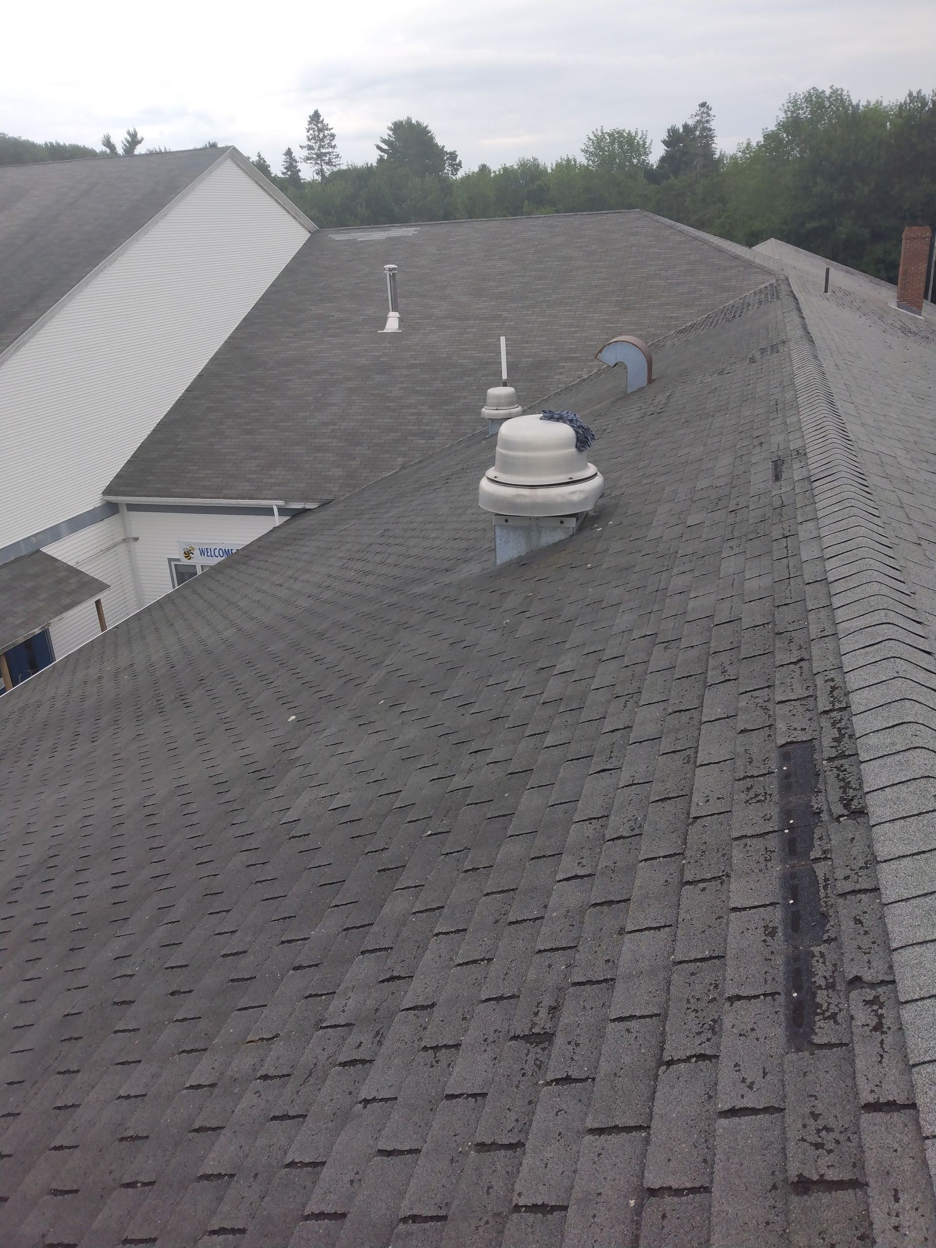 A high-angle view of a grey shingled roof featuring three white vents and a chimney against a background of green trees.