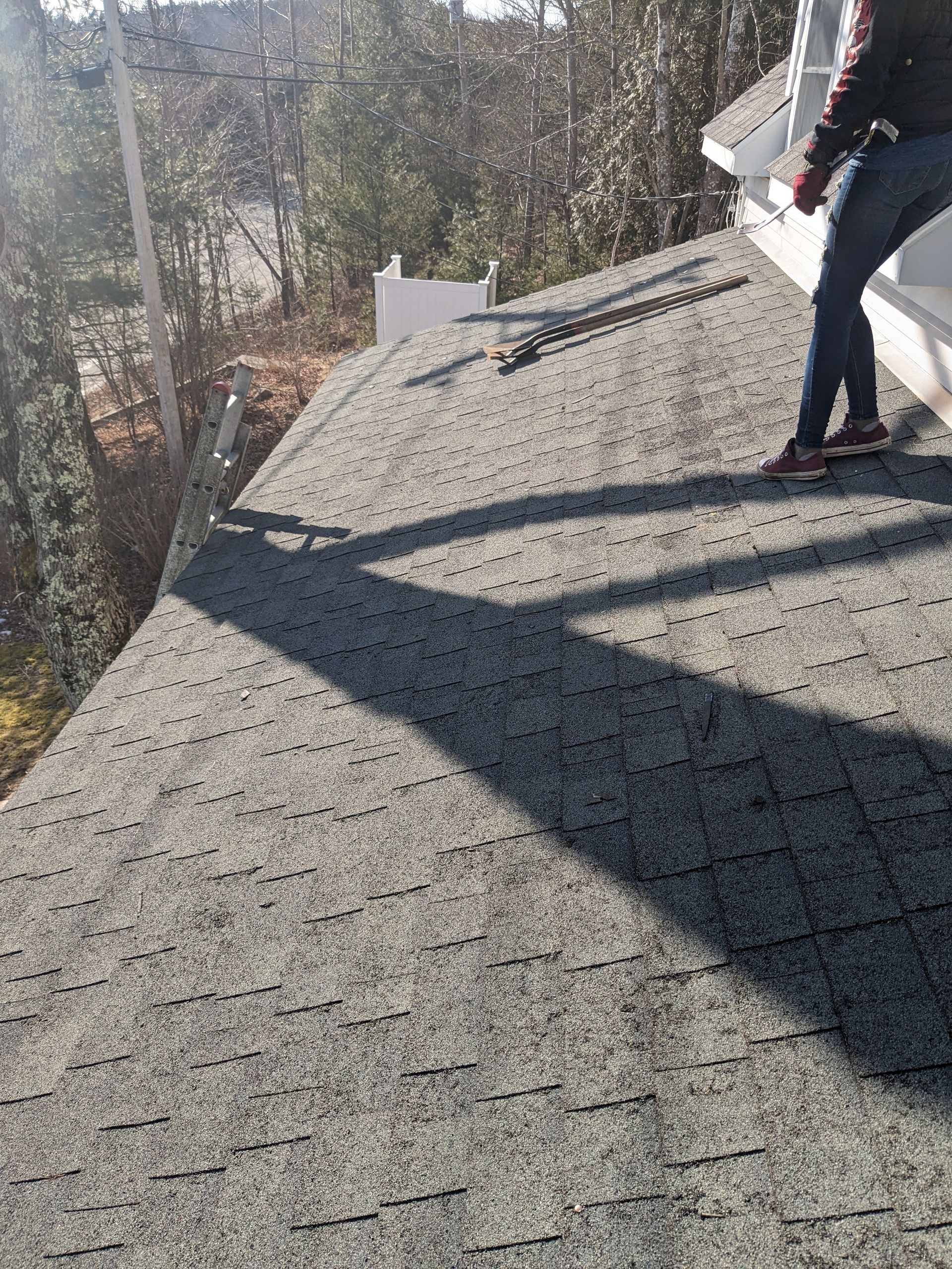 A person stands on a grey shingled residential roof on a sunny day, with a ladder visible nearby.