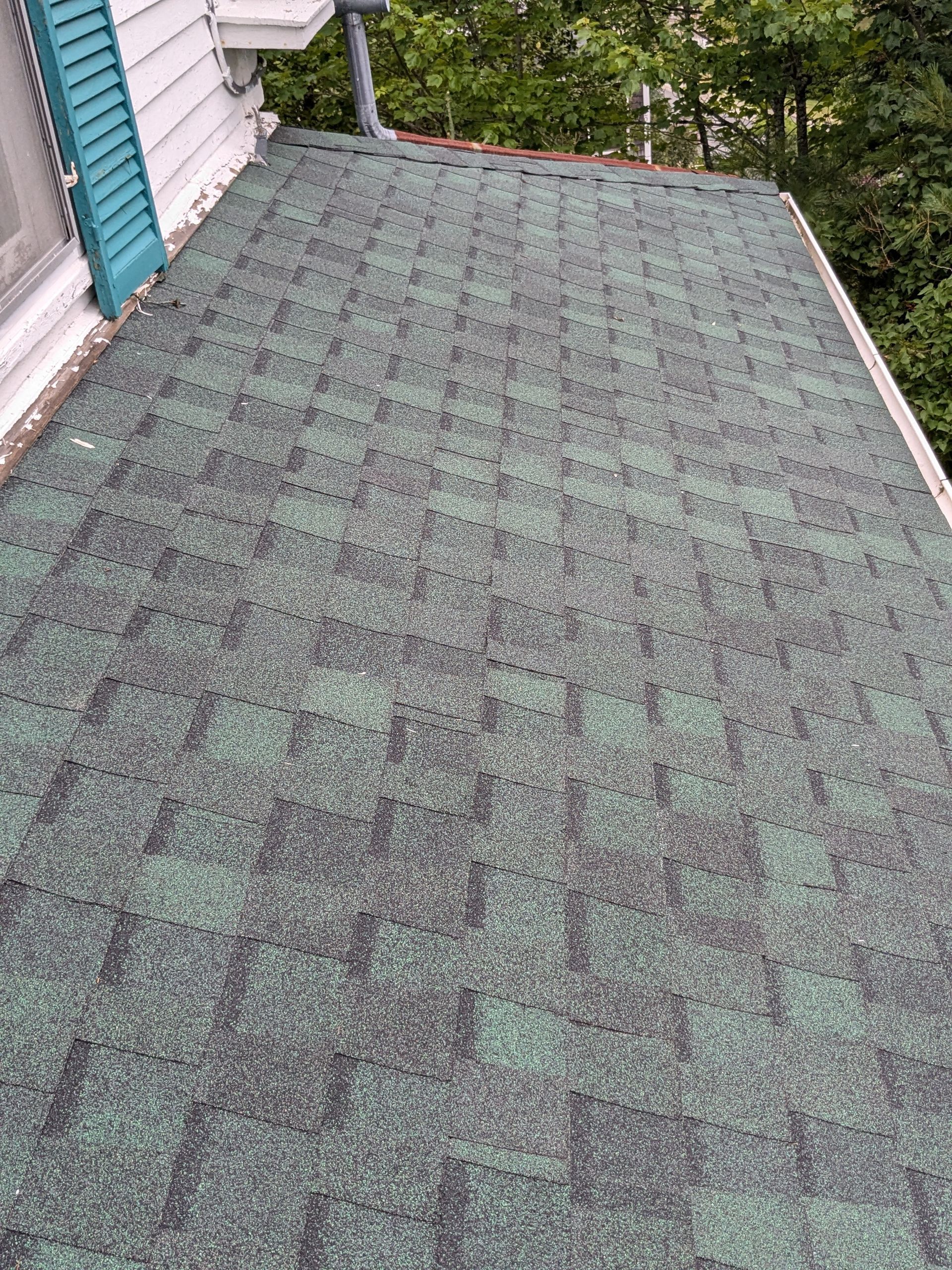 An elevated view of a green shingled roof sloping away from a white house exterior with a teal shutter.
