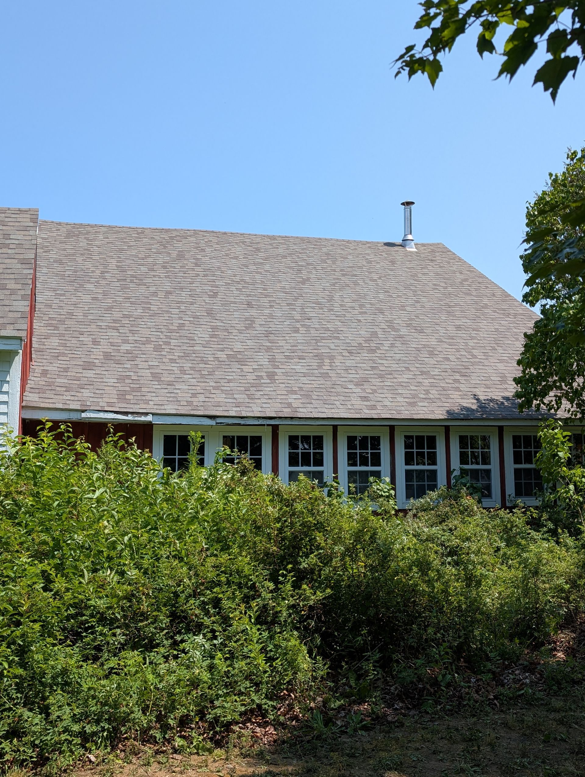 A house with a shingled roof and a row of windows, partially obscured by green bushes under a clear blue sky.