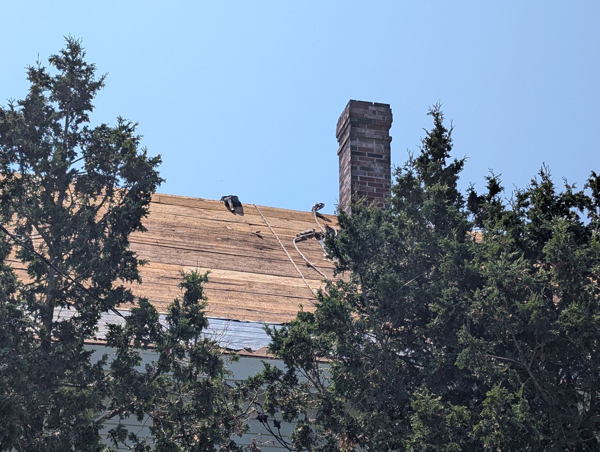 A brick chimney stands atop a roof partially covered in dry, yellowed grass, framed by green trees against a clear blue sky.