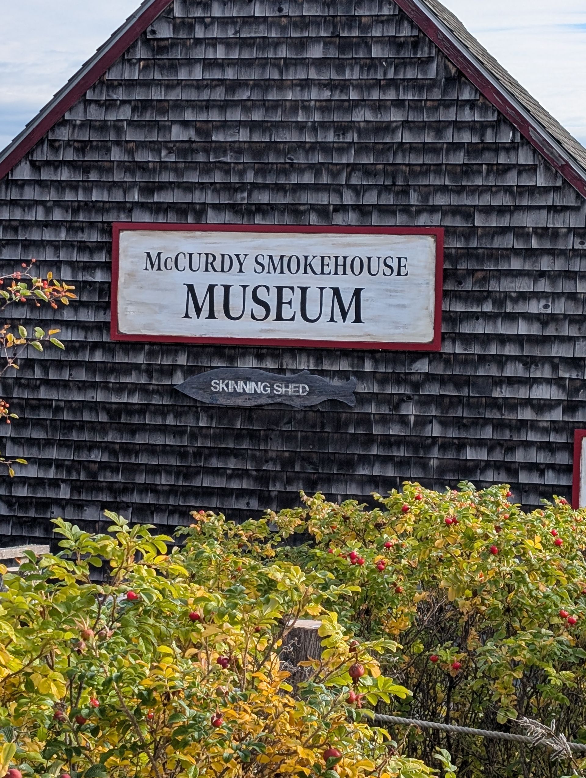 McCurdy Smokehouse Museum sign on a wooden shingled building behind a patch of green and yellow rose bushes.