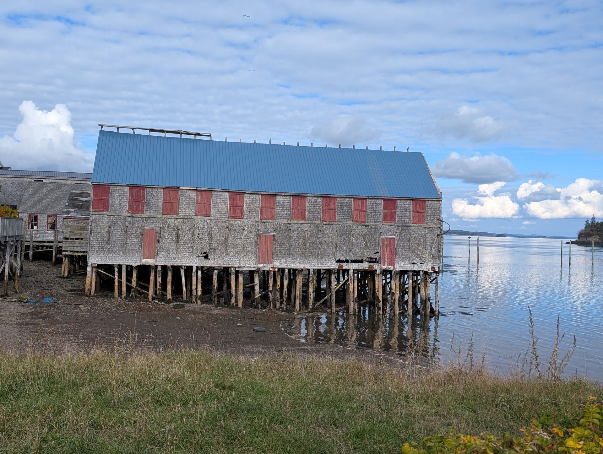 A weathered, gray wooden building on stilts over mudflats and water, topped by a long, blue metal roof.