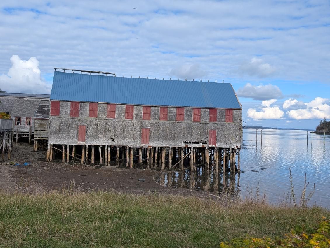 A weathered, stilted building with a blue metal roof stands over mudflats along a calm body of water under a cloudy sky.