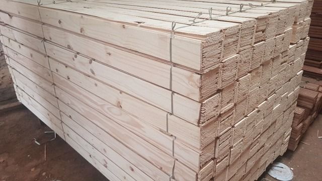 Forro de Pinus Natural - 3