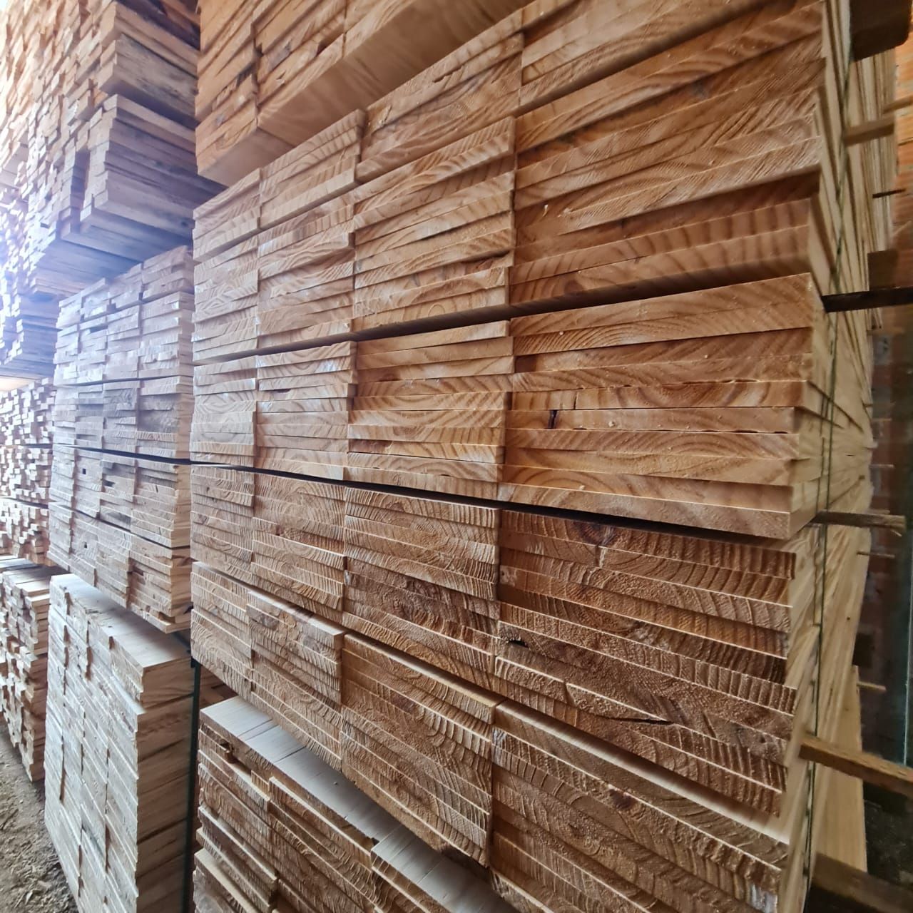 Madeira Pinus