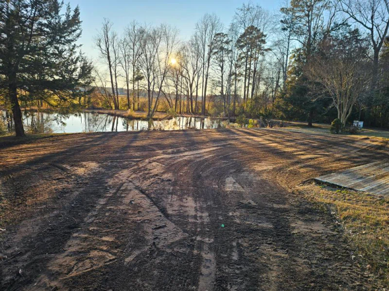 Dirt road leads to a pond, sun shining through bare trees in a rural setting.