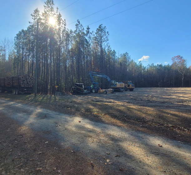 Sunny clearing with logging equipment; pile of logs on trailer in the woods.