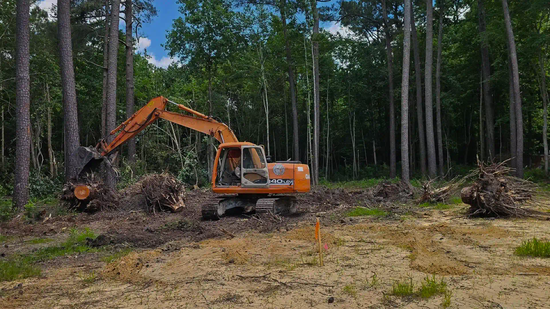 Orange excavator clearing a forested area, removing tree stumps.