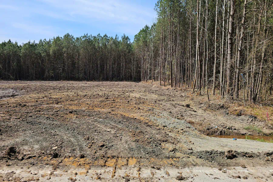 Cleared land next to a stand of tall trees; brown soil and blue sky.