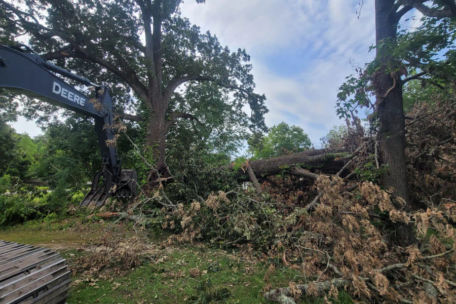 A John Deere excavator removing fallen tree limbs. Branches and debris on the ground, sky visible.