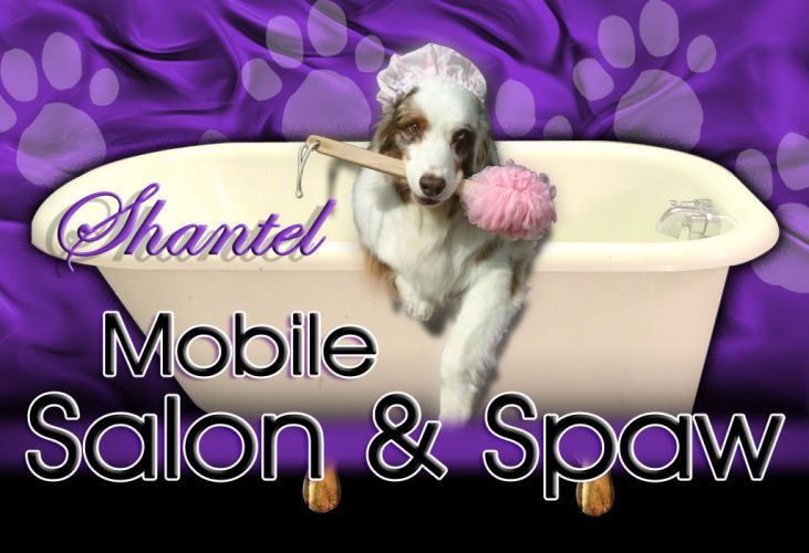 Shantel Mobile Salon and Spaw Shantel Mobile Salon and Spaw