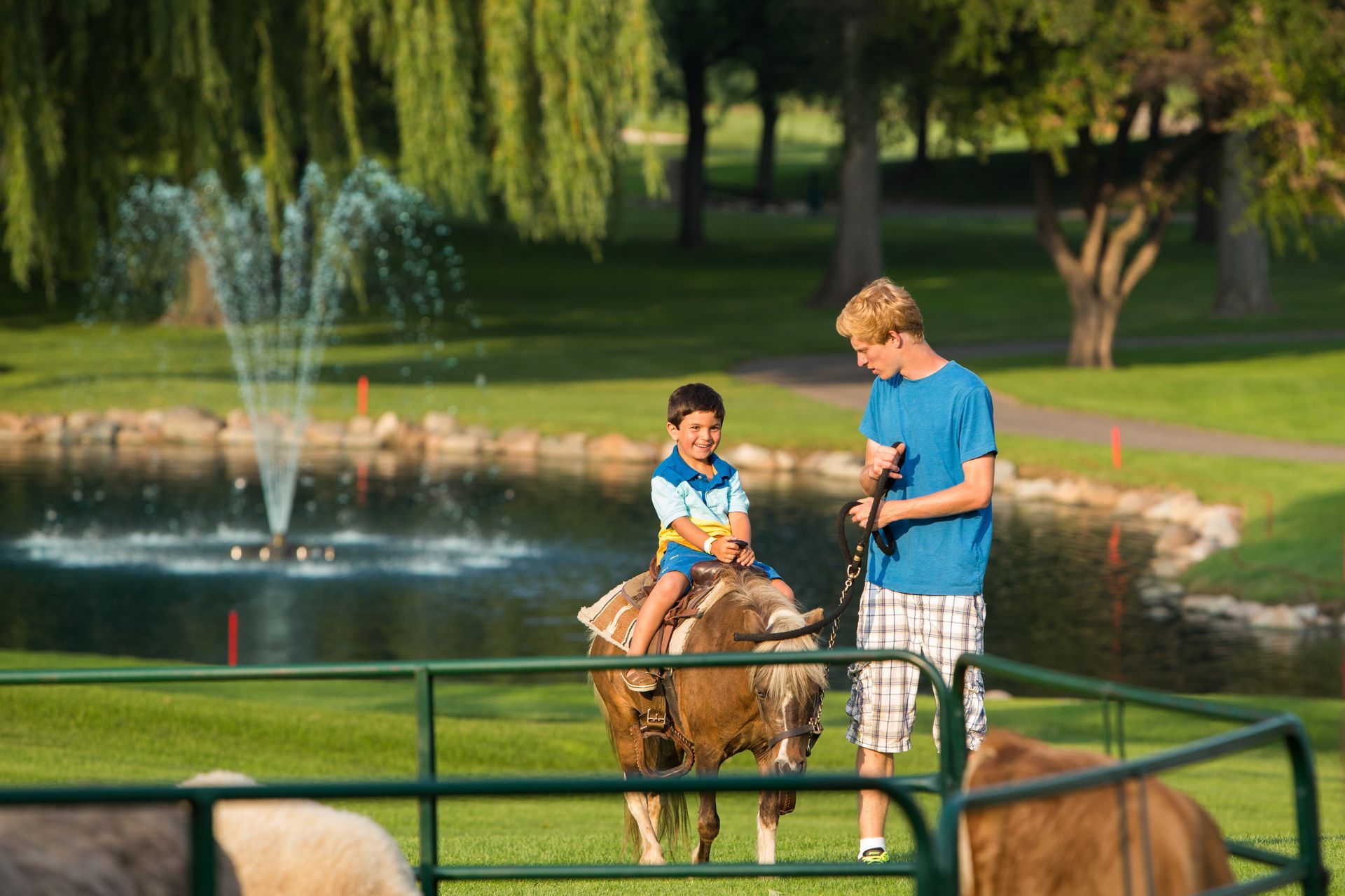Dearborn CC pony ride
