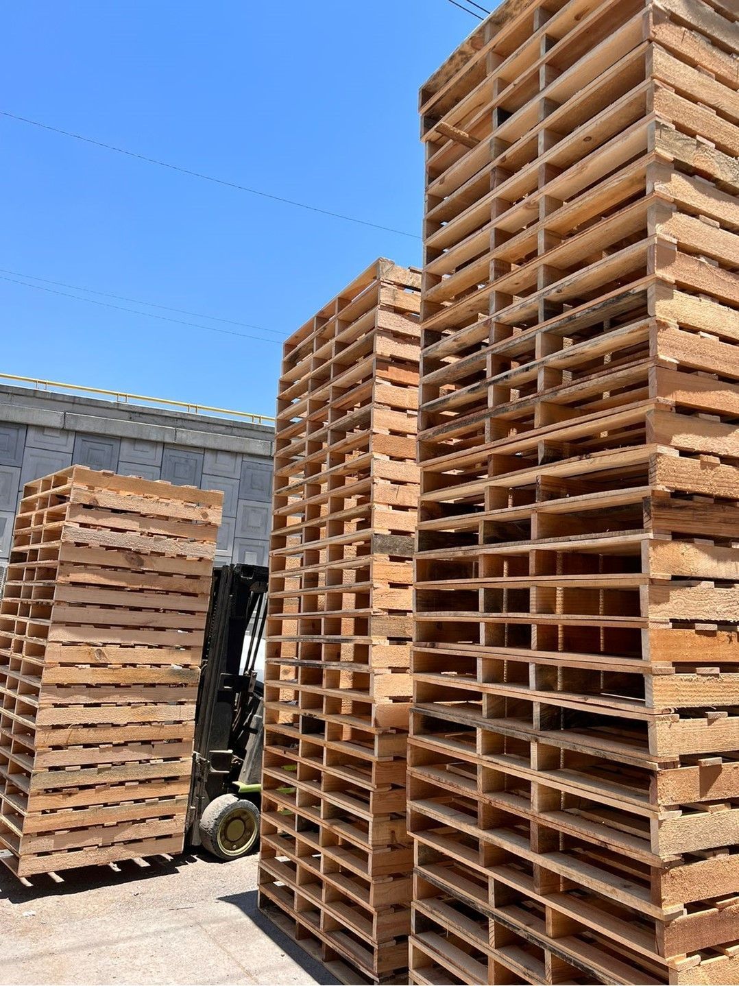 MADERAS Y PALLETS DE SAN LUIS