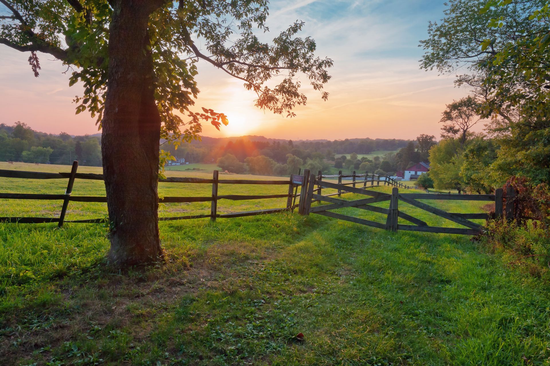 Sunset over a green field and wooden fence, with a tree in the foreground.