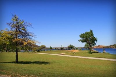 A park with a lake in the background and trees in the foreground.