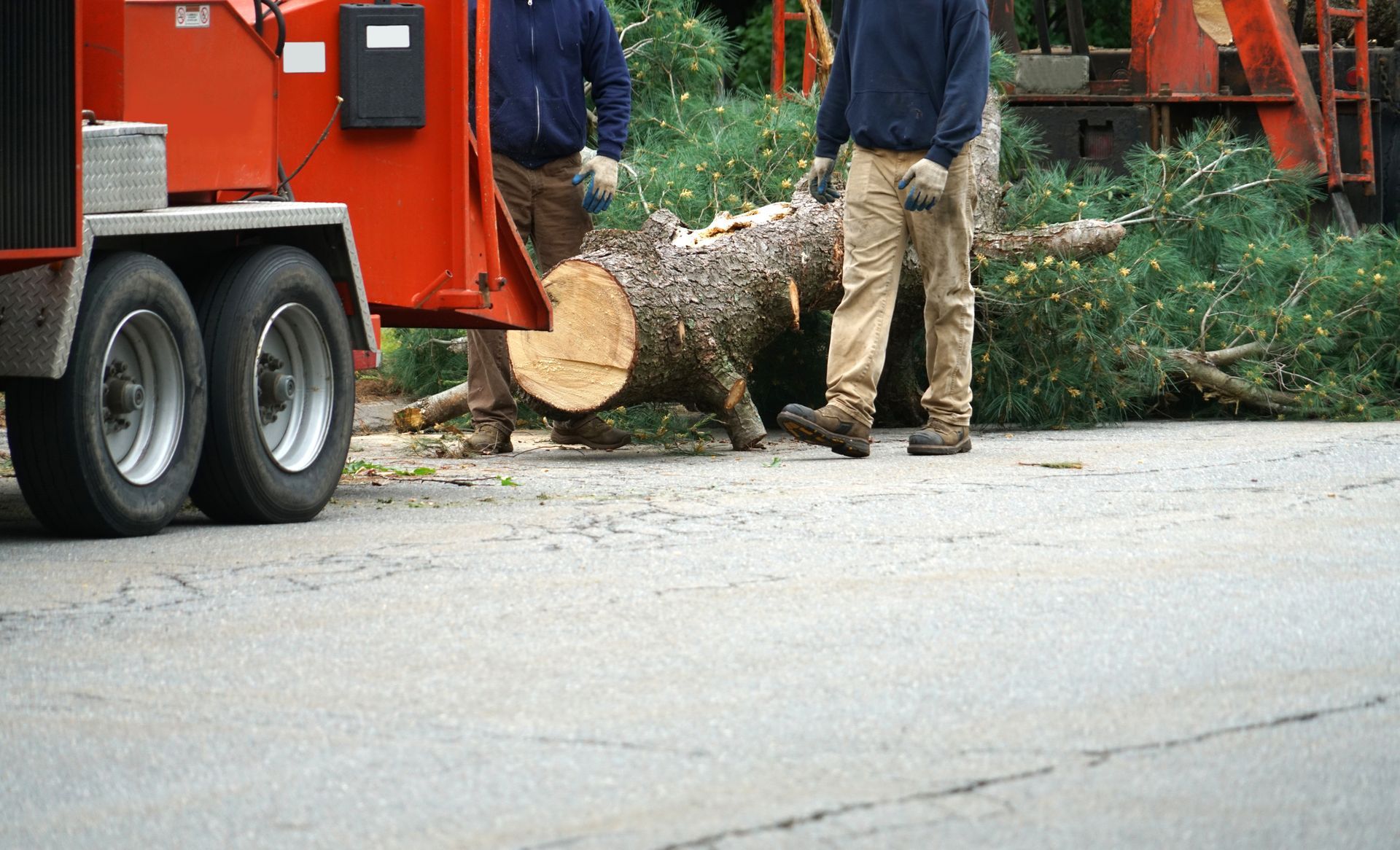 Workers by a red truck load a large cut log onto equipment beside a roadside.