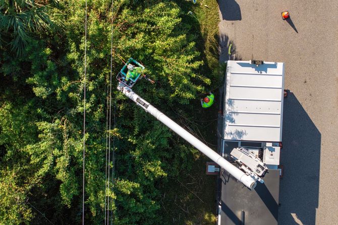 Aerial view of a utility truck trimming a tree beside a road, with a long boom reaching into green foliage.
