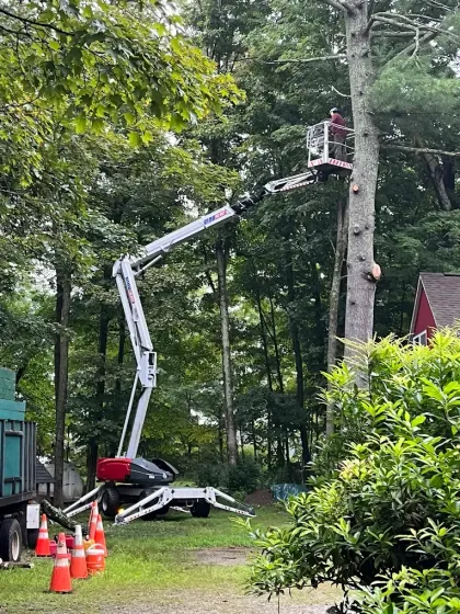 Bucket truck lift beside a tree, with a worker pruning branches in a wooded yard.