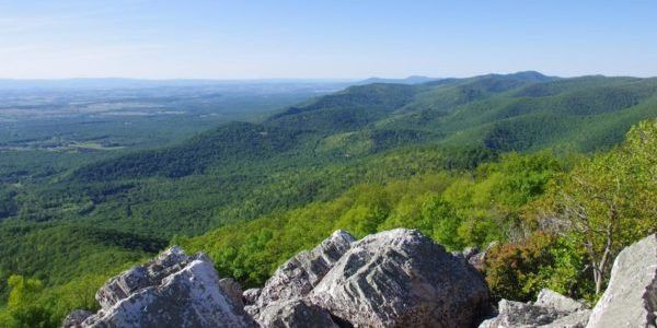 Landscape view by S. Austin