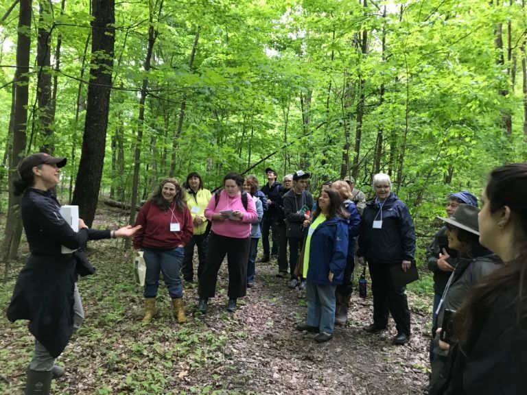 A group of women at a women-focused woods walk at a Foundation for Sustainable Forests field tour in western Pennsylvania