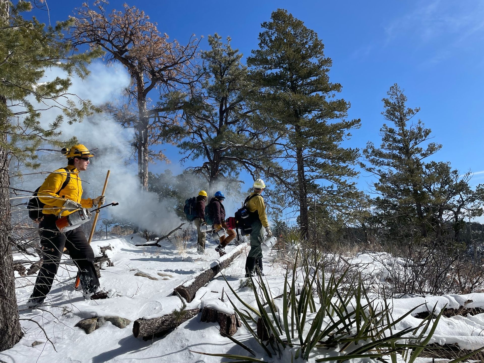 Fire crews finding piles to burn on the mountain.