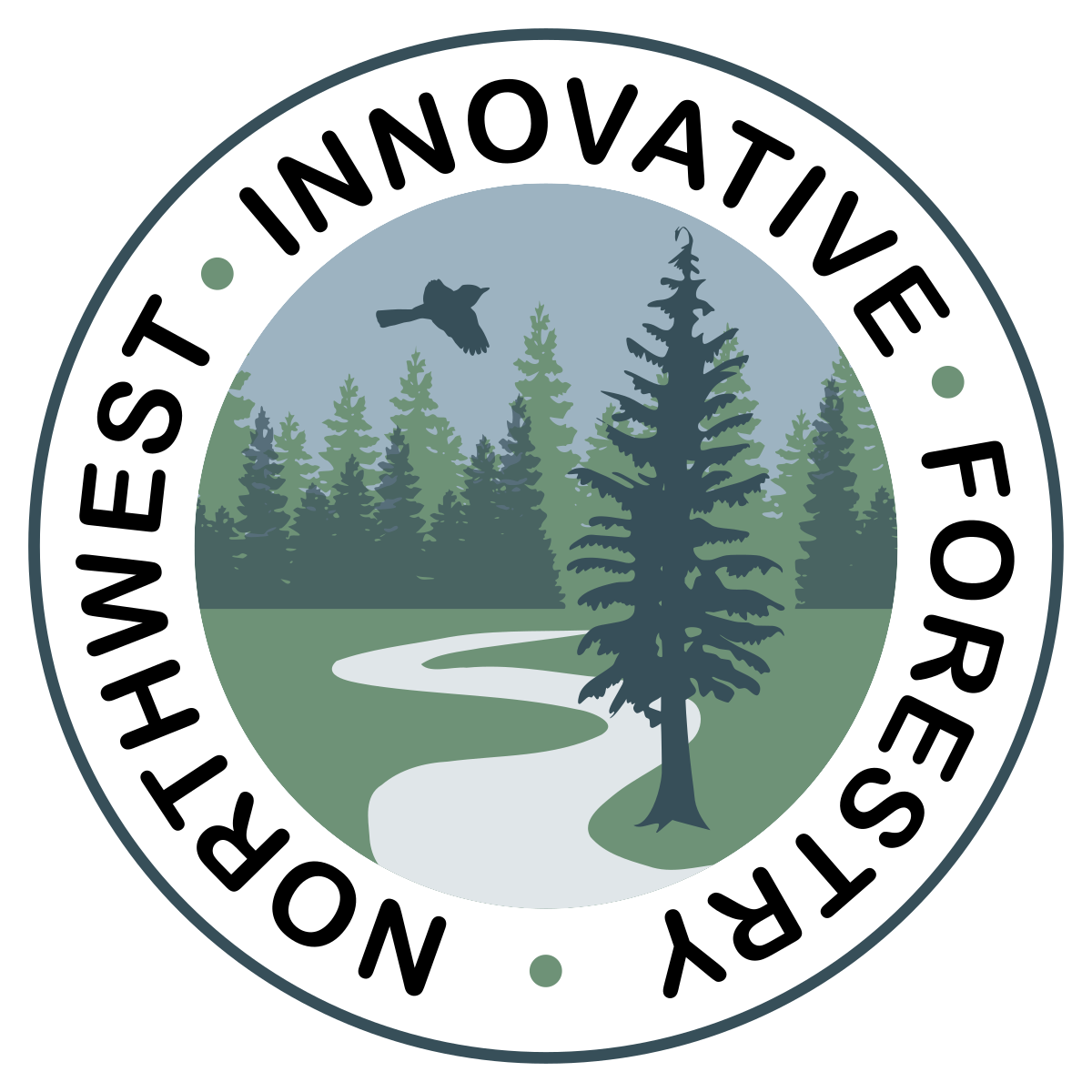 NIFS logo